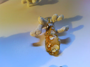 Monarch Butterfly Coral - Agatized Earth