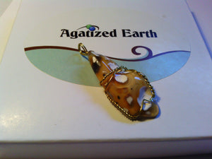 Monarch Butterfly Coral - Agatized Earth