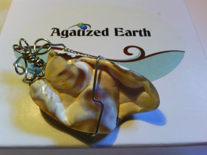 'Candy Coated Coral' - Agatized Earth